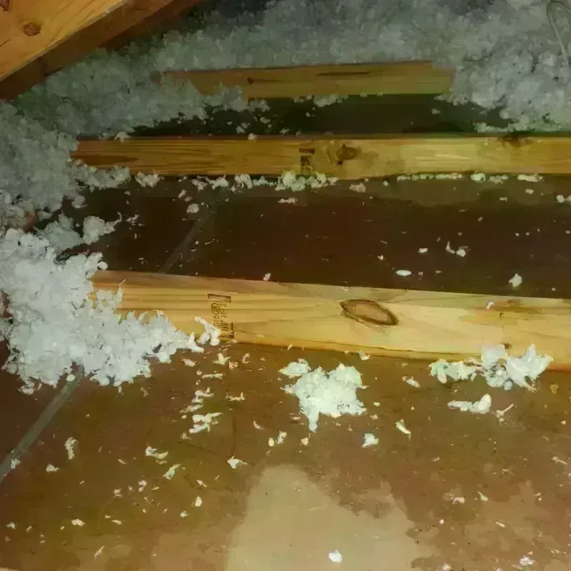 Attic Water Damage in San Felipe Pueblo, NM